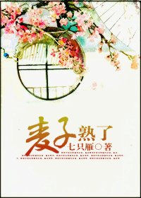 大男子小媳妇/麦子熟了