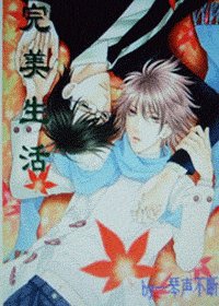 《(网王同人)完美生活》