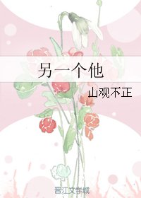 （猎人同人）另一个他