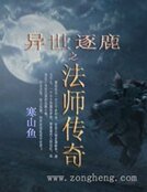 异世逐鹿之法师传奇