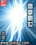 《雷拳霸世》
