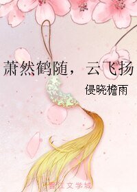 《萧然鹤随,云飞扬》
