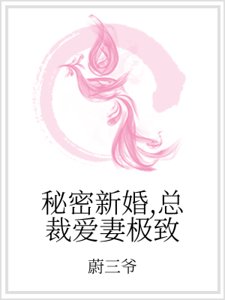 秘密新婚，总裁爱妻极致
