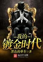 我的镀金时代