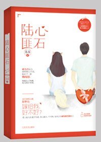 《陆心匪石》