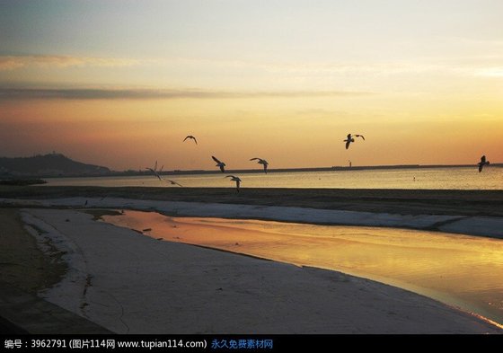 北风吹不过你掌心里的海