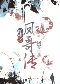 （红楼同人）红楼之凤哥传