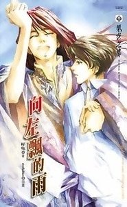 《向左飘的雨(至爱小鬼系列3出书版)》