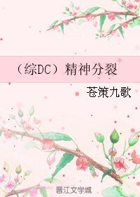 （综DC同人）（综DC）精神分裂