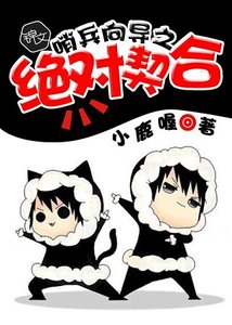 《哨兵向导之绝对契合》