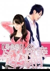 男色劫:今生只為你的妾