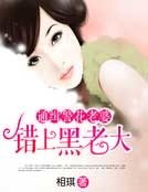 通缉警花老婆:错上黑老大