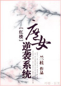 (红楼同人)庶女逆袭系统/红楼之庶女逆袭