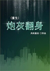 《(重生)炮灰翻身》
