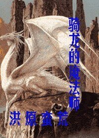 《骑龙的魔法师》