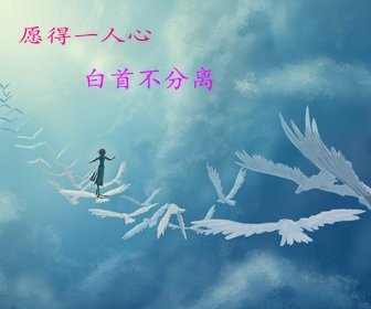 愿得一人心