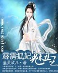 《霹雳狐妃魅丑王》