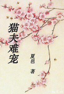 猫夫难宠