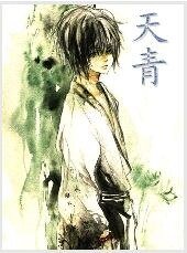 天青(网络版+出书版)