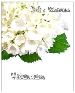 (彩虹同人)VIBURNUM