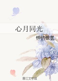 心月同光