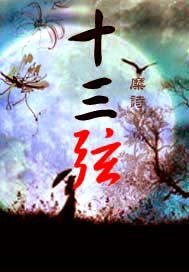 《十三弦》
