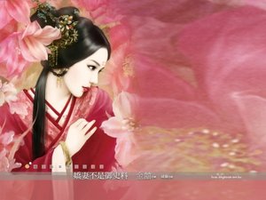 《娇妻不是御史料(吾家奇娘子之二)》