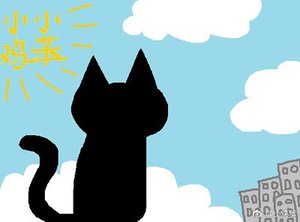 《天降神猫》
