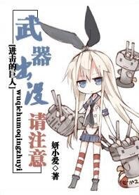 (进击的巨人同人)武器出没请注意
