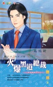 《火爆黑道总裁(黑道总裁之三)》
