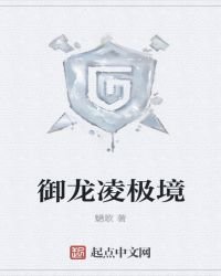 御龍凌極境