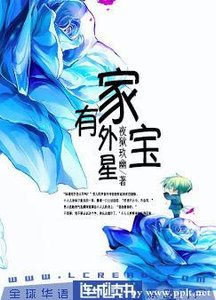 家有外星瓷