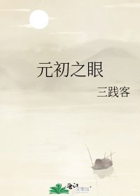 元初之眼
