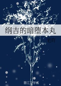 (家庭教师同人)纲吉的暗堕本丸