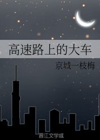 《高速路上的大车》
