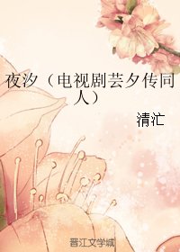 (BG/电视剧芸夕传同人) 夜汐