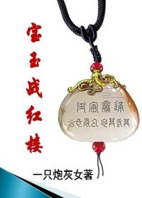 (BG/红楼同人)宝玉战红楼