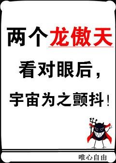 《两个龙傲天看对眼后,宇宙为之颤抖!》