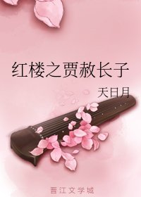 (红楼同人)红楼之贾赦长子