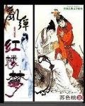 亂彈紅樓夢