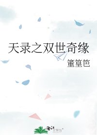 《天录之双世奇缘》
