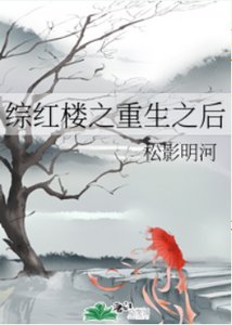 (综同人)综红楼之重生之后