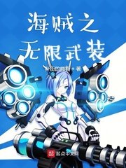 《海贼之无限武装》