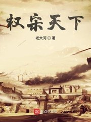 《权宋天下》
