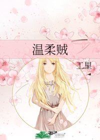温柔賊