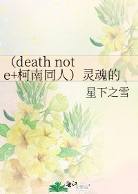 《(death note+柯南同人)灵魂的归宿》