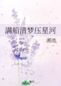 《满船清梦压星河》