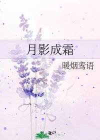 《月影成霜》