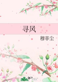 寻风