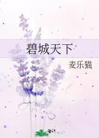 碧城天下